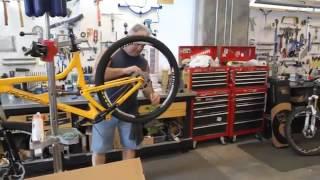 Competitive Cyclist Bike Shop Tour