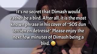 DIMASH -  ... Of Dimash Being A Bird 