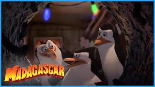 A Secret Christmas Mission  | Penguins of Madagascar | Mini Moments