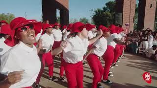 Xi Eta Chapter of Delta Sigma Theta Sorority, Inc. Full Probate Video