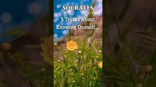 5 Profound Socrates Quotes  | Timeless Wisdom for a Meaningful Life #nature #philosophy #top