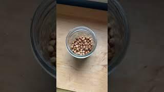 How we make seasoning from wild cherry pits! #wildfood #foraging #homesteading