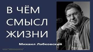 В чём смысл жизни Михаил Лабковский