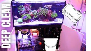 As Clean As Never Before! RedSea Reefer 425XL REEF TANK / EP#13