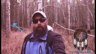 SASQUATCH SOUNDING LIKE A HYENA! White Birch Bigfoot Clan Were There, Even Though Crisp And Cold!