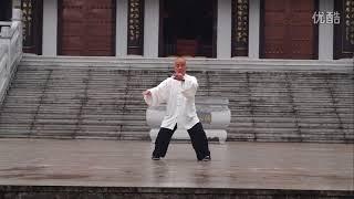 Yang Taiji 85 form (Lu Zhongtian)