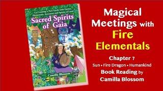 Magical Meetings with FIRE Elemental Dragons, Sun Consciousness, Human Kind