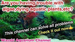 【WASABI Aquarium Channel】First of all,watch this video please !! [The introduction of our videos]