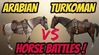 Turkoman VS Arabian ! Horse Battles! Red Dead Redemption 2!