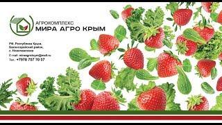 Агрокомплекс Мира Агро Крым В РИТМЕ ПРОГРЕССА - В ГАРМОНИИ С ПРИРОДОЙ