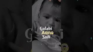 Gulabi sadhi Ani Lal Lal lali ️️️// cute baby #viral #mini log#shortfeeds  #shortvideo