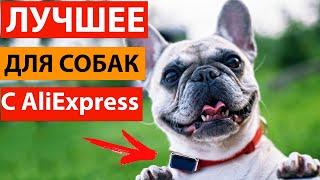 Полезные товары для собак с Aliexpress. Ваш питомец останется довольным