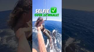 Crazy Kitesurfer jumps over two whales with a Kite! 