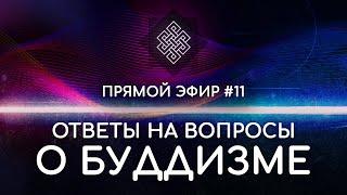 НАРА ЛОКА / ПРЯМОЙ ЭФИР #11 Ответы на вопросы о буддизме