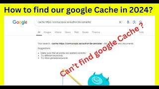 How to check Google cache in 2024?