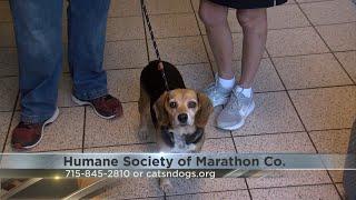 Marathon Co. Petsaver: Meet Cleopatra