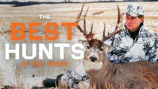 30 Minutes Late Season Deer Hunts | Monster Buck Hunts In The Snow | Best of Monster Bucks