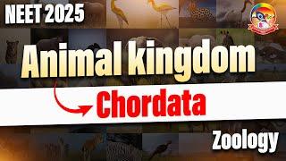 Animal Kingdom Chordata || NEET 2025 Zoology || NEET 2025 || @SrichaitanyaGosala