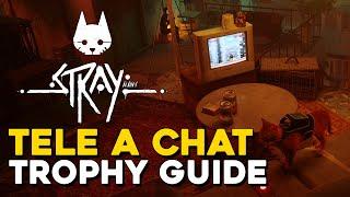 Stray Tele A Chat Trophy Guide