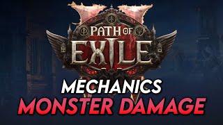 Path of Exile 2 Mechanics: Monster Damage Categorisation