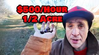 How I Make $500/Hour Growing Trees (Half Acre Tree Farm)