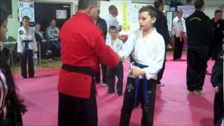 Fleetwood Martial Arts Show part 4