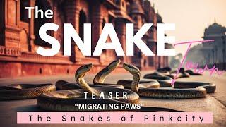 The Snake Town - Official Teaser | The Snakes of Pinkcity | Migrating Paws