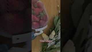 Wall DIY #ideas #strawberry #subscribe