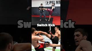 4 BEST KICKS in Martial Arts