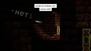 когда не знаешь что такое хойк в террарии #terraria #shorts #террария #шортс