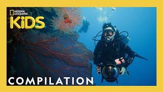 The BEST Jobs Ever! | Nat Geo Explorers | 25 Minute Compilation | @natgeokids