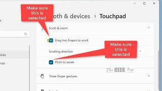 2 Finger scroll not working in Windows 11 Fix
