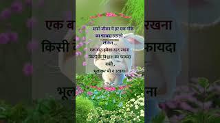 LOVELY SHAYRI |4K STATUS  WHATSAPP  CRAZY STATUS 1M #shortyoutube #lovestatus#love #shayari