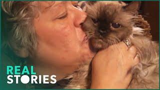 America's "Craziest" Cat Ladies! (Animal Documentary) | Real Stories