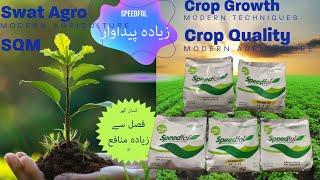 Speedfol Crop Nutrition Program to enhance crop yield and fruit quality ! Sqm Swat Agro Kissanghar