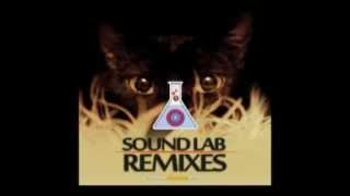 Alex Sasch - Hi tech society (Rob Renson remix)