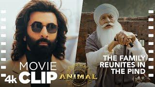 ANIMAL SCENE #10: The Family Reunites in the Pind | Ranbir K, Sandeep V, Bhushan K