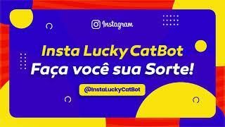 Insta Lucky CatBot