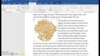 Adding Captions in Word 2016