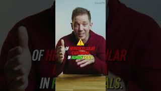 Anadrol 101: Huge Lifts, Huge Risks 