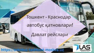 Ташкент Краснодар автобус. Тошкент Краснодар автобус -  Tashkent Krasnodar avtobus