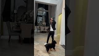 Puppy shows dad some love *RIP BEAR* #shorts