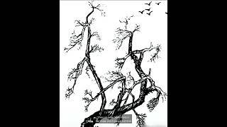 How many faces are around the tree 3? #puzzle #trick #logic #thinking #tests #eyesight