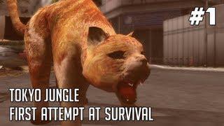 Tokyo Jungle Gameplay - Part 1: Fat Cat Vs. Hippo