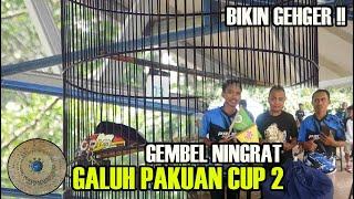 MB GEMBEL NINGRAT BIKIN GEHGER GALUH PAKUAN