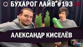 Бухарог Лайв #193​​: Александр Киселев