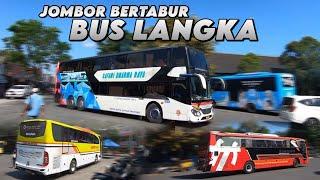 BUS LANGKA BERMUNCULAN | Terminal Jombor Membludak Sampai Ada yang Telat Berangkat