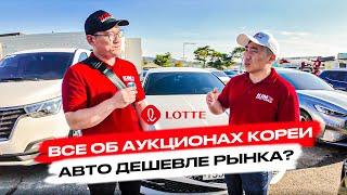 Все ОБ АУКЦИОНАХ авто в КОРЕЕ! Дешевле РЫНКА?!