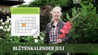 Blütenkalender Juli - Phlox, Monarda, Euodia, Buddleja, Spirea, Dahlie