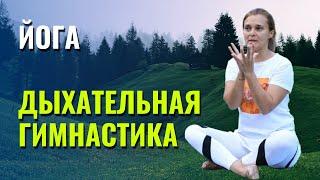 Дыхательная практика от мастера йоги Алёны Кулдавлетовой. Тренируем диафрагму.